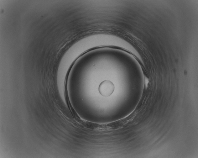 X0000078290556200611031234