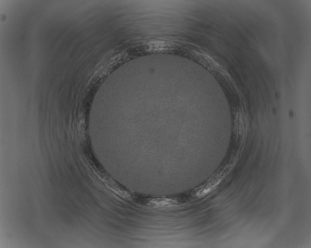 X0000078290557200611031234