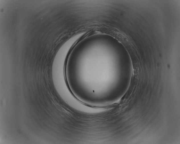 X0000078290558200611031234