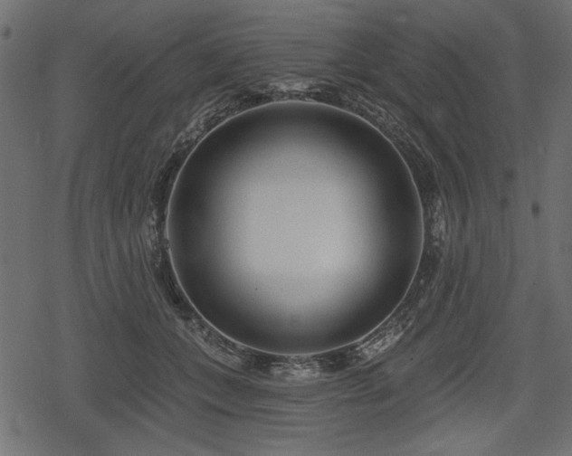 X0000078290559200611031234