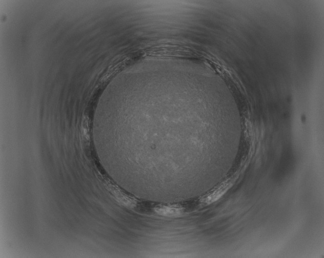 X0000078290561200611031234