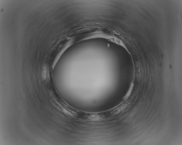 X0000078290562200611031234