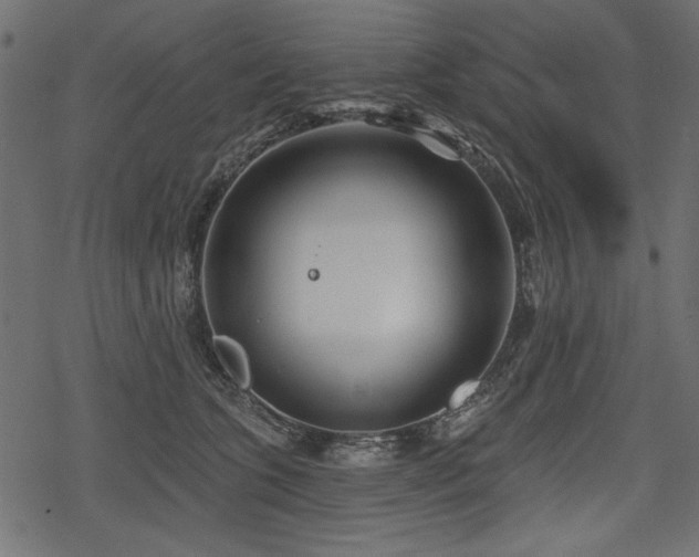 X0000078290563200611031234