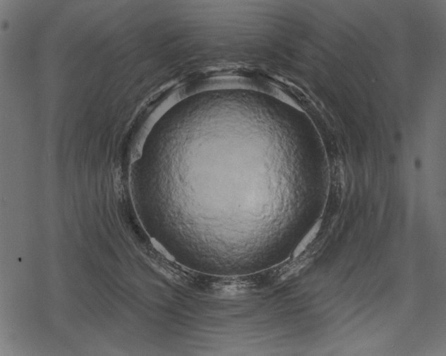 X0000078290564200611031234