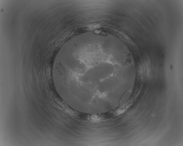 X0000078290565200611031234