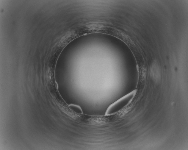 X0000078290567200611031234