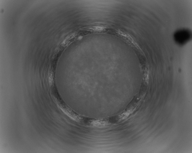 X0000078290568200611031234