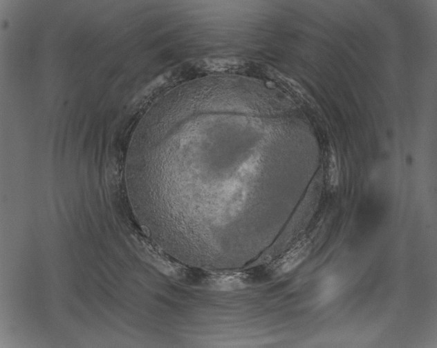 X0000078290569200611031234