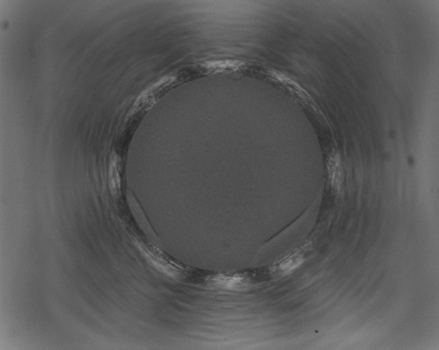 X0000078290570200611031234