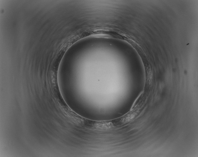 X0000078290571200611031234