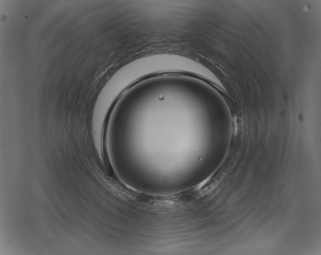 X0000078290572200611031234