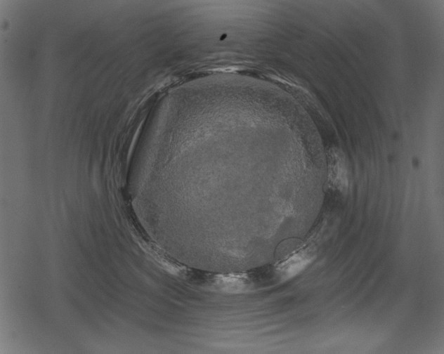 X0000078290573200611031234