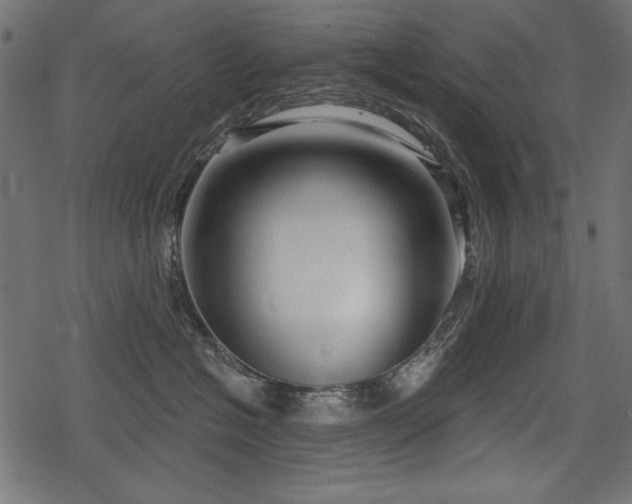 X0000078290574200611031234