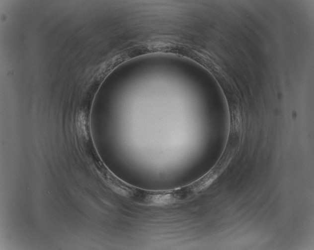 X0000078290575200611031234