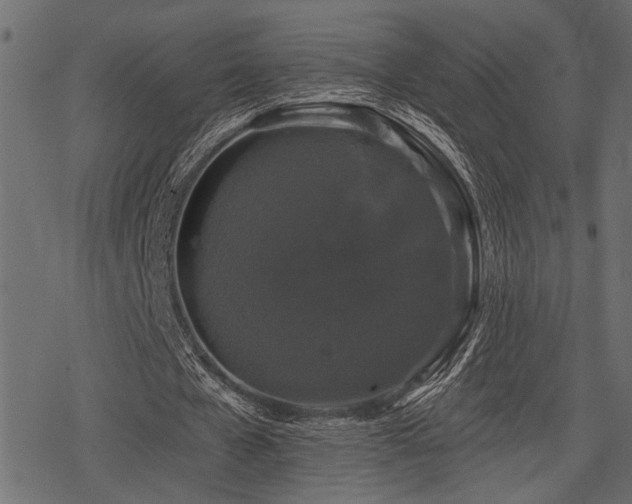 X0000078290577200611031234