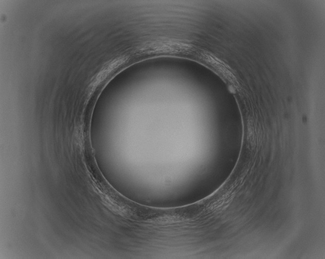 X0000078290578200611031234