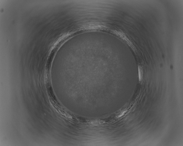 X0000078290579200611031234