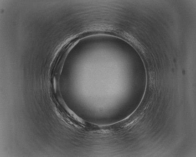 X0000078290580200611031234