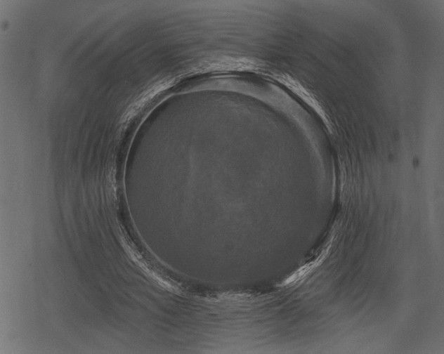 X0000078290581200611031234