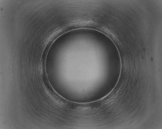 X0000078290582200611031234