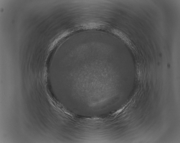 X0000078290583200611031234