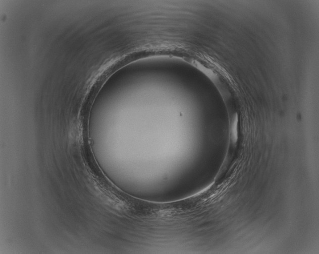 X0000078290584200611031234