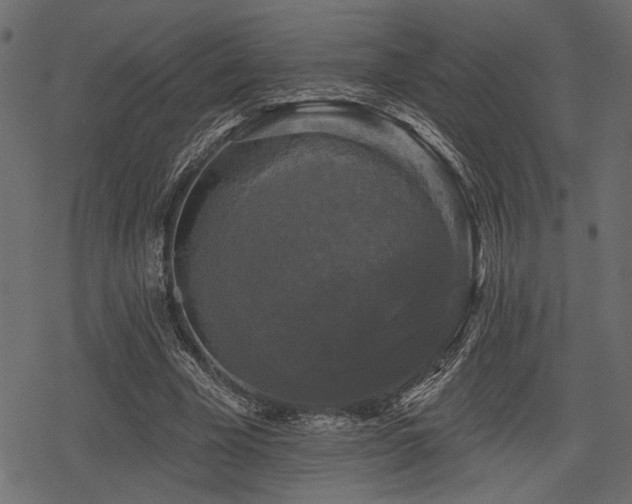 X0000078290585200611031234