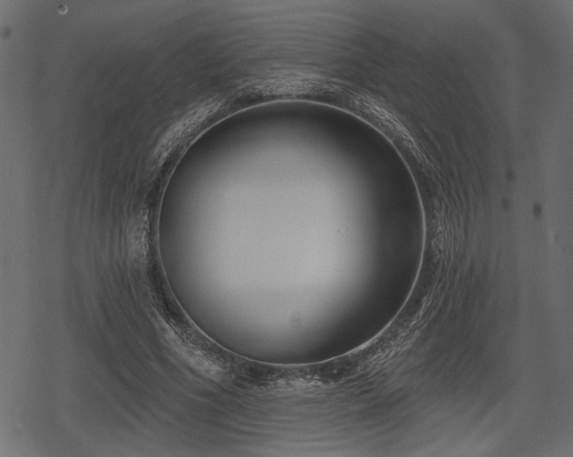 X0000078290586200611031234