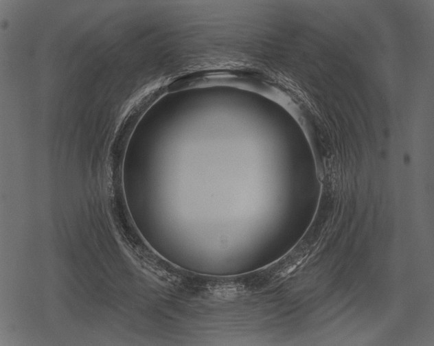 X0000078290587200611031234