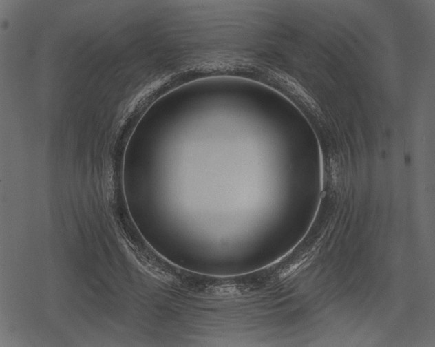 X0000078290588200611031234