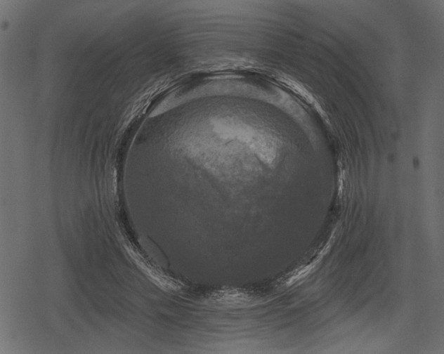 X0000078290589200611031234