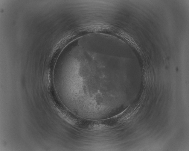 X0000078290590200611031234