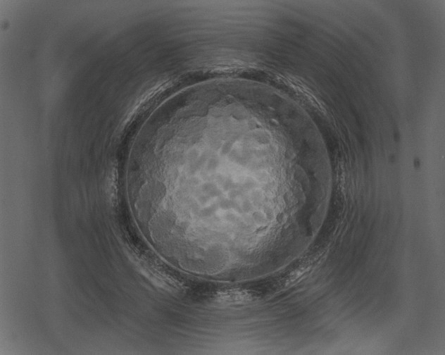 X0000078290591200611031234