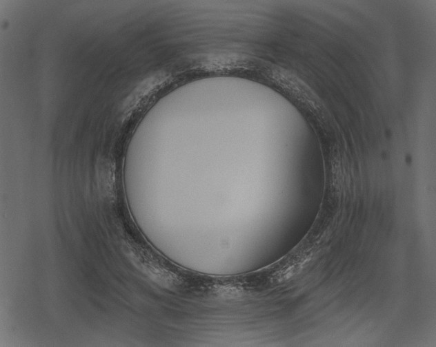 X0000078290592200611031233