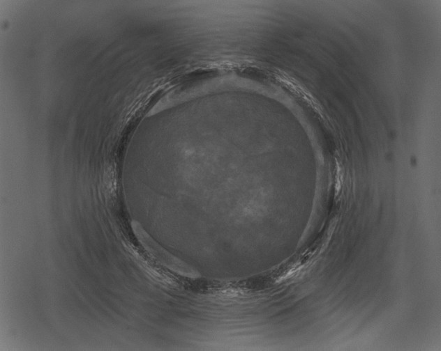 X0000078290593200611031233