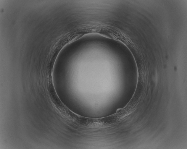 X0000078290594200611031233