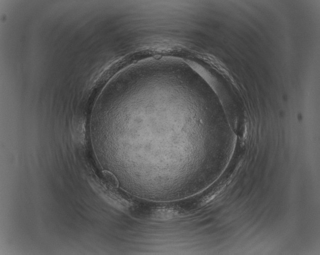 X0000078290596200611031233