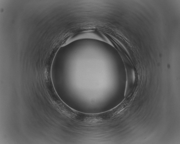 X0000078290597200611031233