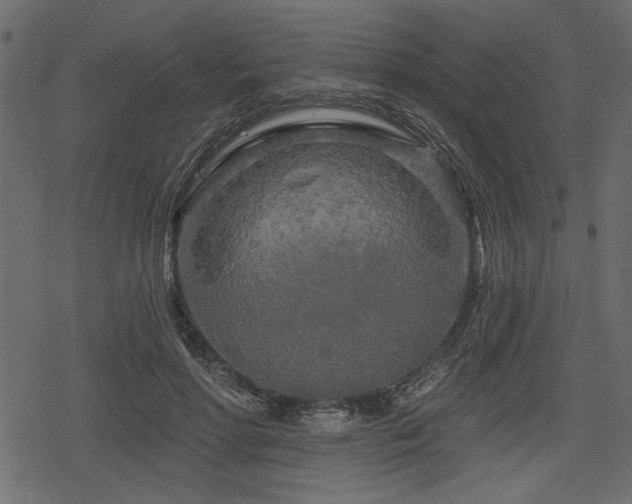 X0000078290598200611031233