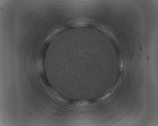 X0000078290599200611031233