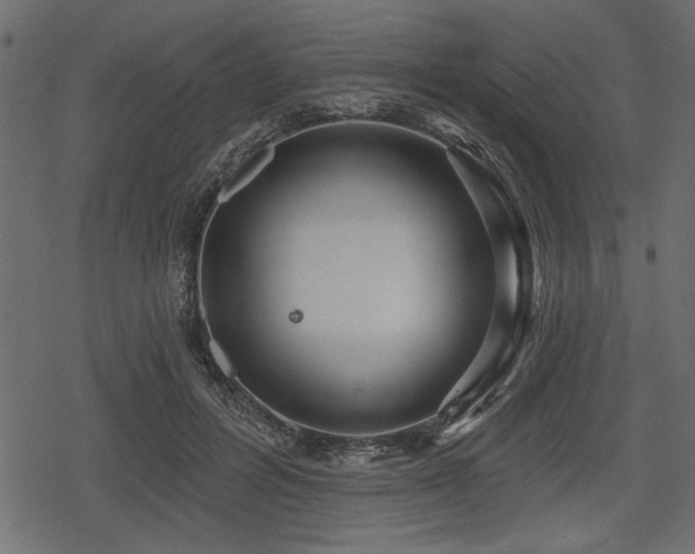 X0000078290600200611031233