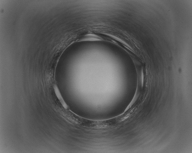 X0000078290601200611031233