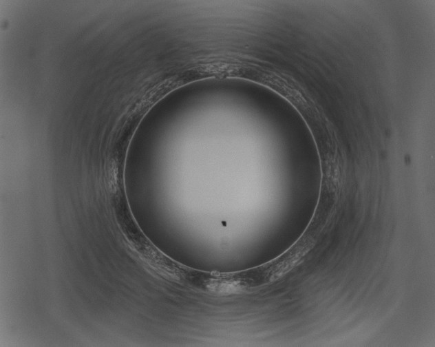 X0000078290602200611031233