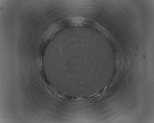 X0000078290603200611031233