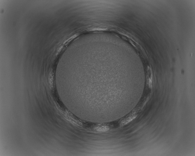 X0000078290604200611031233