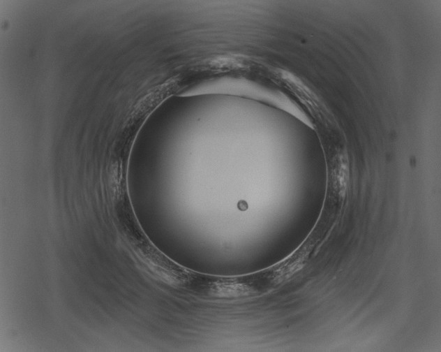 X0000078290605200611031233