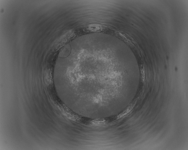 X0000078290606200611031233