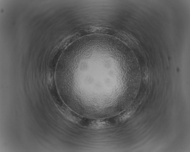 X0000078290607200611031233