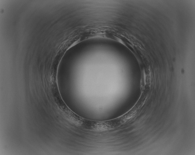 X0000078290608200611031233