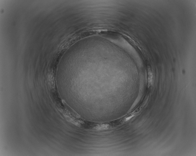 X0000078290609200611031233